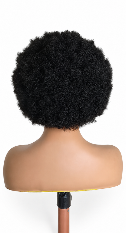 Cornrows/Afro Wig BW-0012